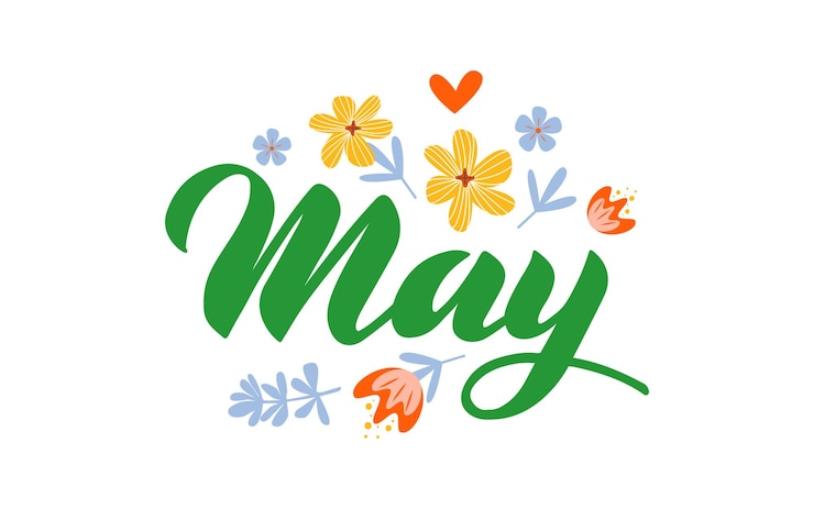 Vecteur nom du mois de lettrage dessiné à la main mois de mai manuscrit pour le logo mensuel du calendrier