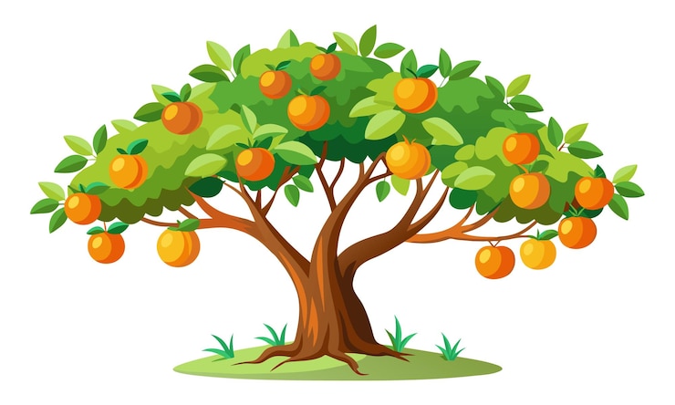Vecteur noms originaux arbre d'orange isolé illustration vectorielle plate sur fond blanc