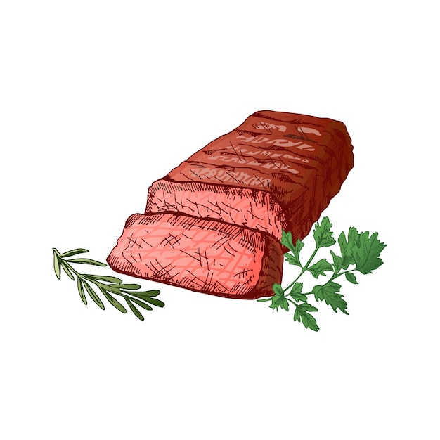 Vecteur nourriture biologique croquis coloré vectoriel dessiné à la main d'un steak de bœuf grillé un morceau de viande avec du romarin