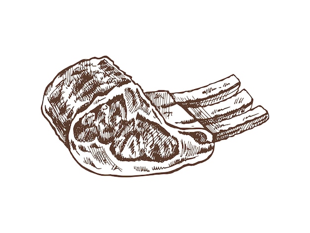 Vecteur nourriture biologique croquis vectoriel dessiné à la main de viande de porc, de bœuf, d'agneau, de côtes, de morceau de viande