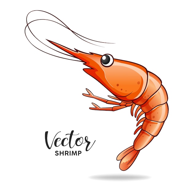 Vecteur nourriture populaire de crevettes isolée