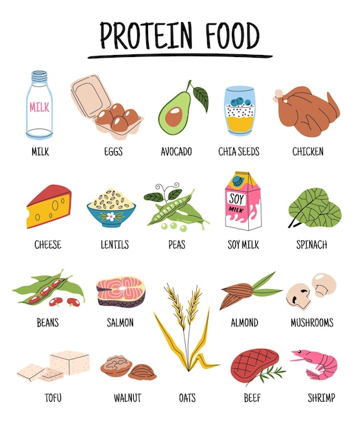 Vecteur nourriture protéique de dessins animés différents produits à base de lait et de viande de soja diète saine et équilibrée ingrédients organiques naturels diversité de repas eléments isolés avec texte nutrition sportive ensemble de vecteurs bien rangés.