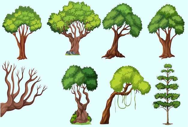 Un nouvel ensemble de variétés de plantes et d'arbres Illustration