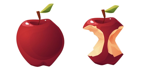 Vecteur noyau entier de pomme et de fruit défini illustration vectorielle de dessin animé.