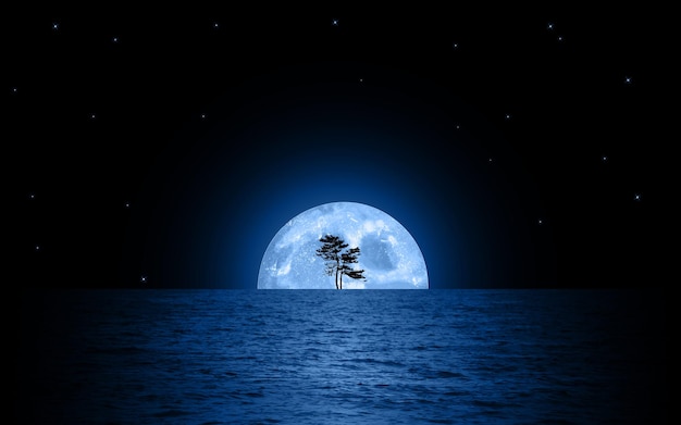 La Nuit Au Clair De Lune, Le Paysage De La Mer, La Belle Nature, Le Fond Bleu, L'illustration Vectorielle, La Silhouette Bleue.