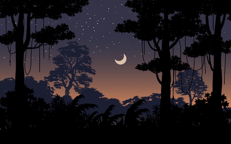 Vecteur la nuit dans le paysage de la forêt tropicale