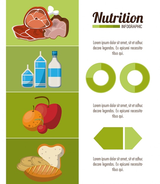 Vecteur nutrition et infographie alimentaire