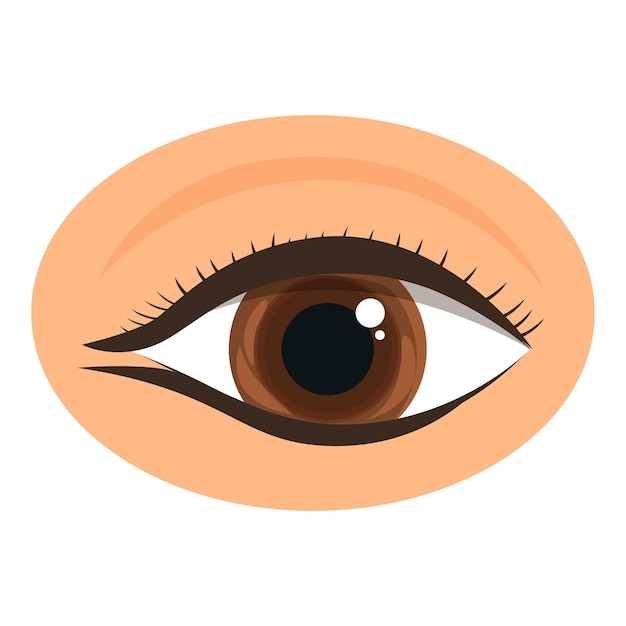 Oeil brun avec maquillage à droite montrant l'iris et la pupille détaillés