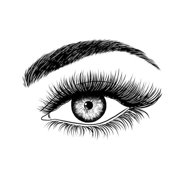 Vecteur oeil féminin dessiné à la main
