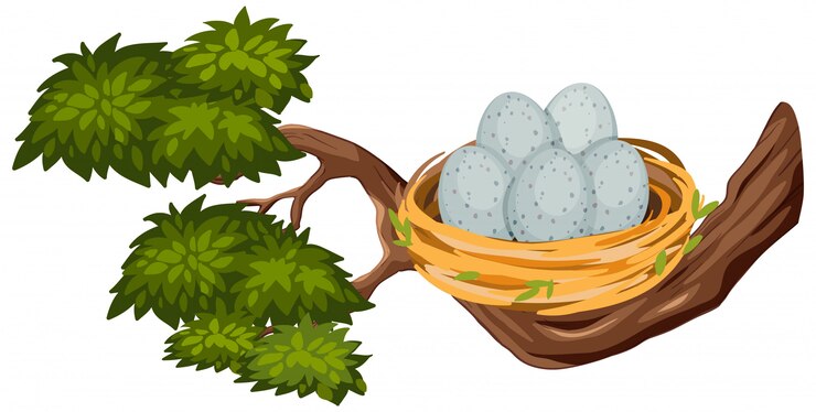 Vecteur oeufs dans le nid d'oiseau sur une branche d'arbre