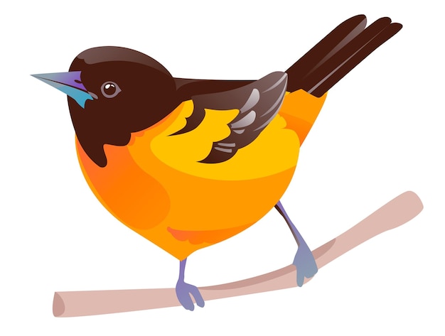 Oiseau Baltimore Oriole Vector Illustration Isolé Sur Fond Blanc Un Oiseau Sur Une Branche