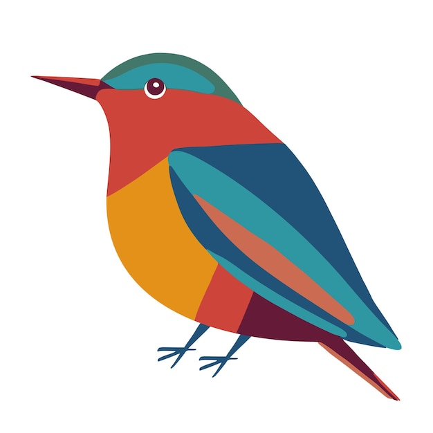 un oiseau coloré avec une coloration bleue et orange