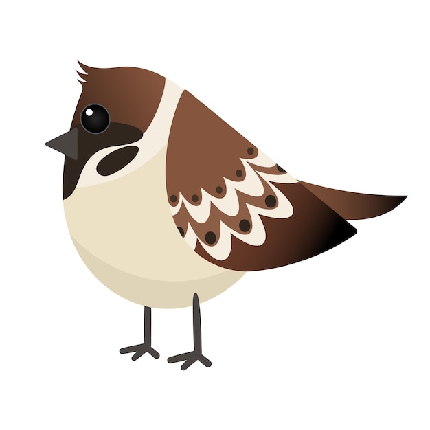 Oiseau de dessin animé isolé sur fond blanc Illustration vectorielle Sparrow