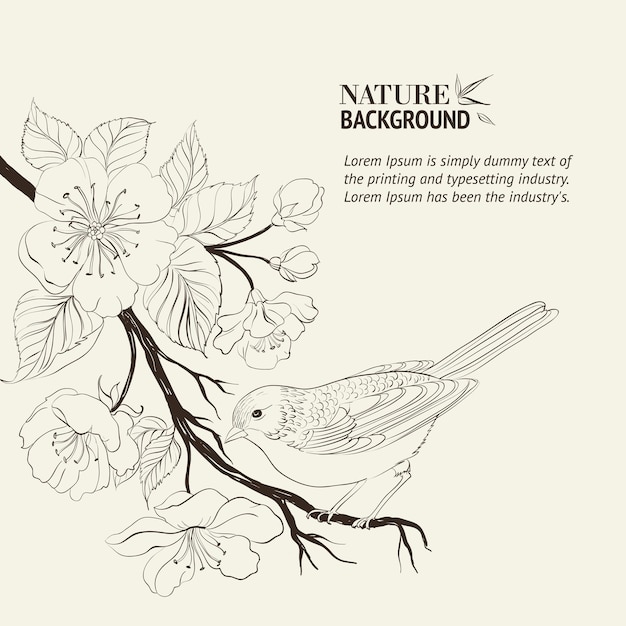Oiseau dessiné à la main sur la branche sacura.