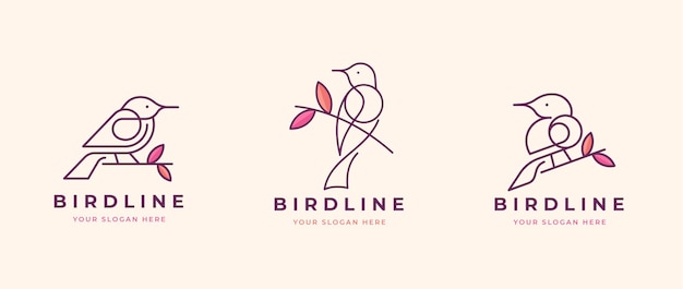 Oiseau Perché Sur Une Création De Logo De Branche D'arbre