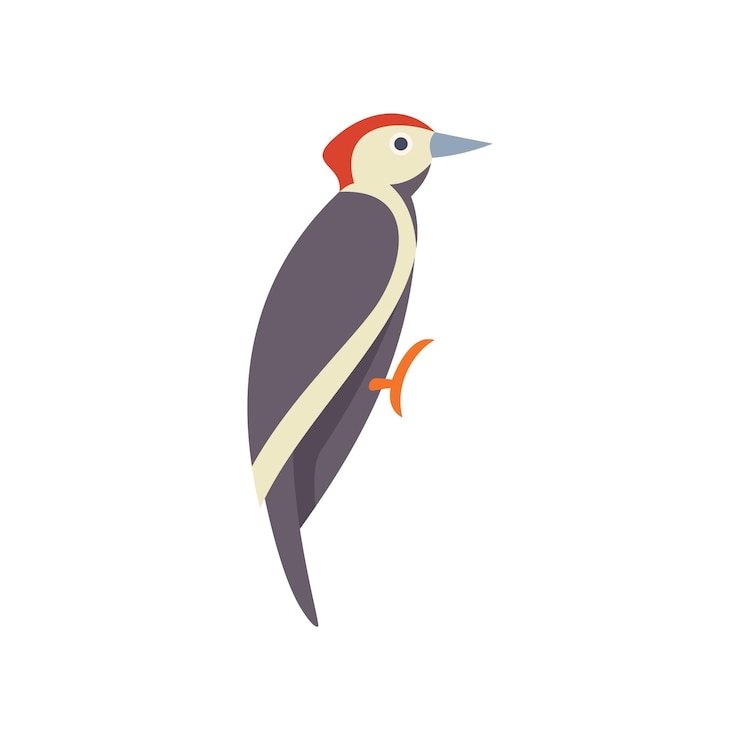 Vecteur l'oiseau pic à tête rouge perché sur une illustration de branche