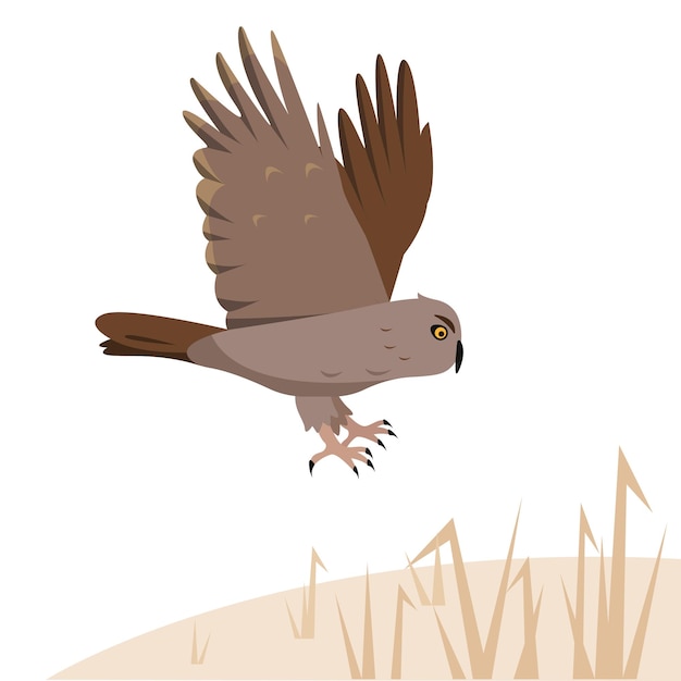 Vecteur l'oiseau prédateur du hibou brun vole au sol ou attaque