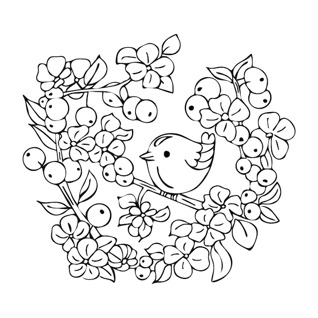 Oiseau Roi Dessiné à La Main Sur Une Branche Avec Des Fleurs. Livre De Coloriage D'illustrations