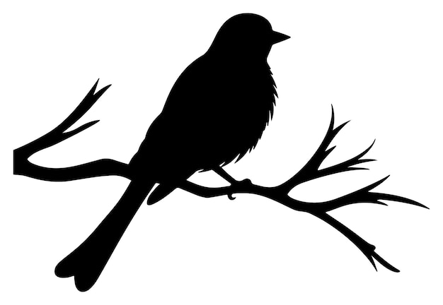 Vecteur oiseau sur une silhouette de branche d'arbre