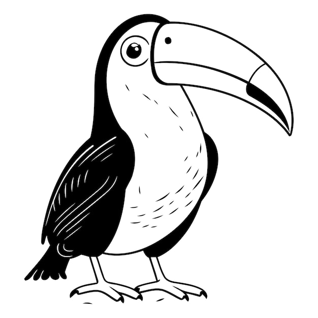 Vecteur oiseau toucan de dessin animé isolé sur fond blanc illustration vectorielle