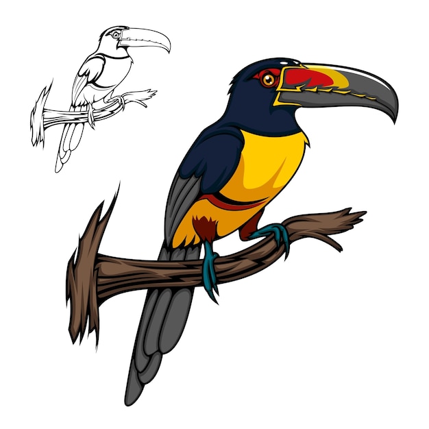 Oiseau Toucan Dessin Animé Tropical Aracari