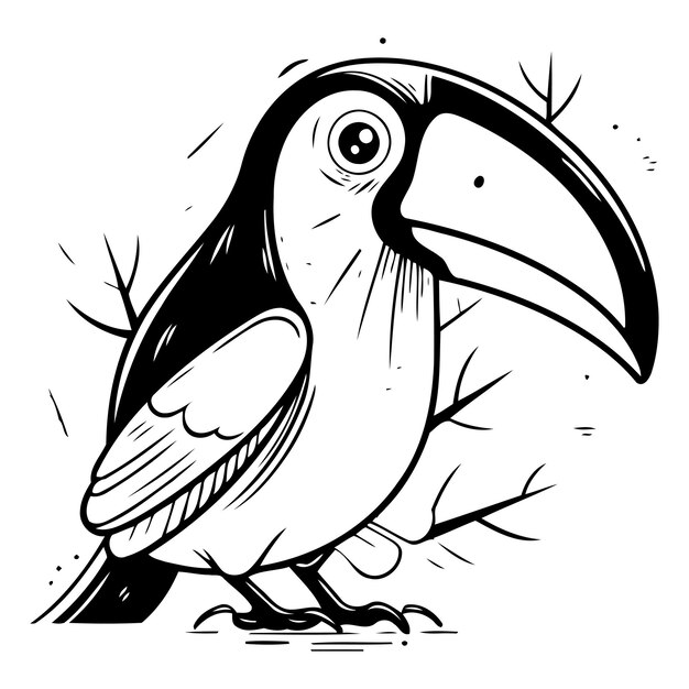 Vecteur oiseau toucan illustration vectorielle d'un toucan de dessin animé
