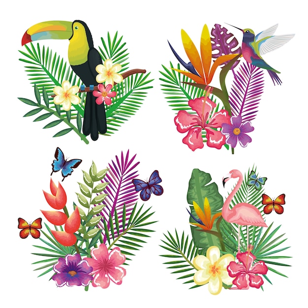 Oiseau Tropical Et Exotique Avec Décoration Florale