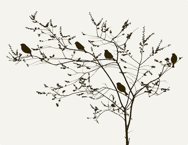 Oiseaux sur l'arbre de printemps