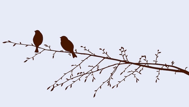 Vecteur oiseaux sur une branche d'arbre le jour du printemps