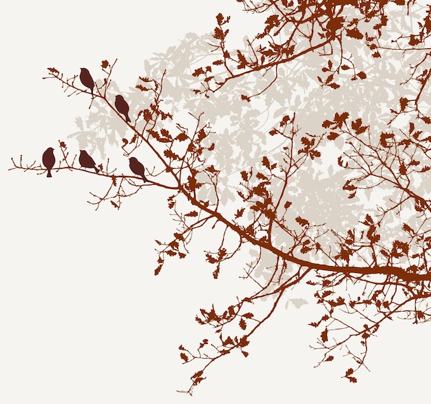 Les oiseaux sur les branches de chêne