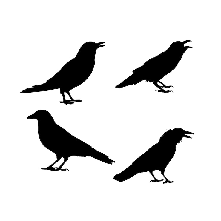 Vecteur oiseaux de corbeaux de silhouette vecteur définir le contour