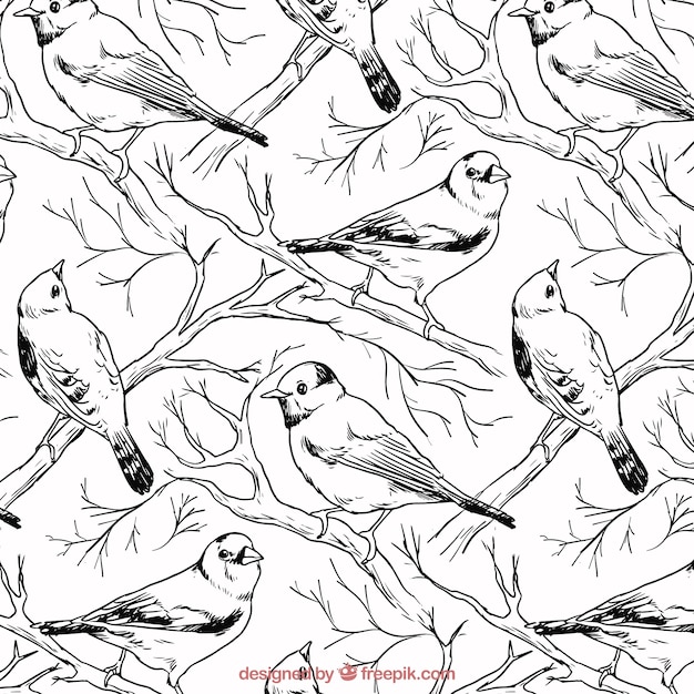 Vecteur oiseaux dessinés à la main motif