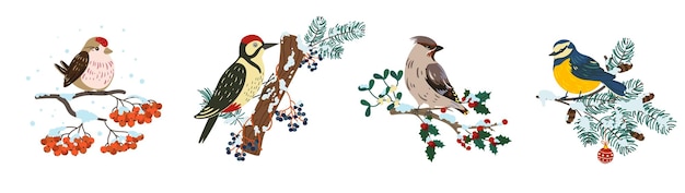 Vecteur les oiseaux d'hiver sur les branches les petits oiseaux mignons sur les différents arbres les brindilles et le pic-bois le moineau et le boeuf s'assoient sur les arbres à peine et le rowan