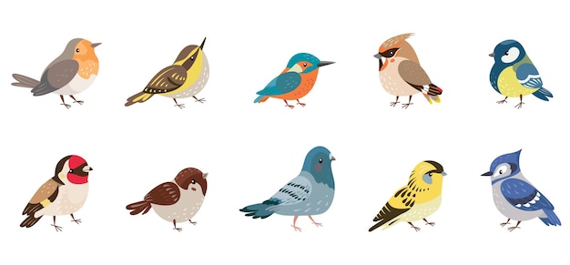 Oiseaux sauvages de la forêt Jardin européen et oiseau sauvage personnages d'animaux volants oiseaux de dessin animé décoratifs bullfinch pigeon et tit clipart vectoriel d'aujourd'hui