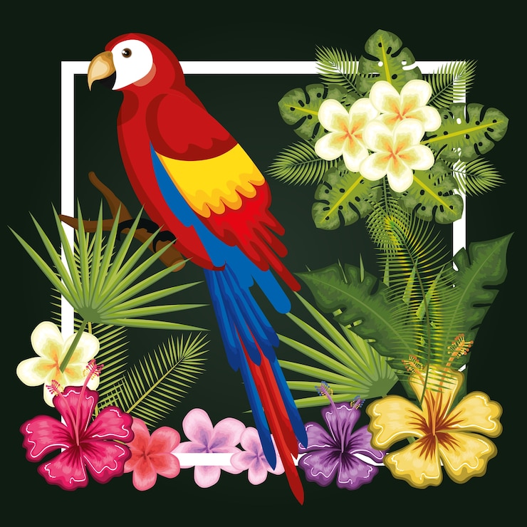 Vecteur oiseaux tropicaux