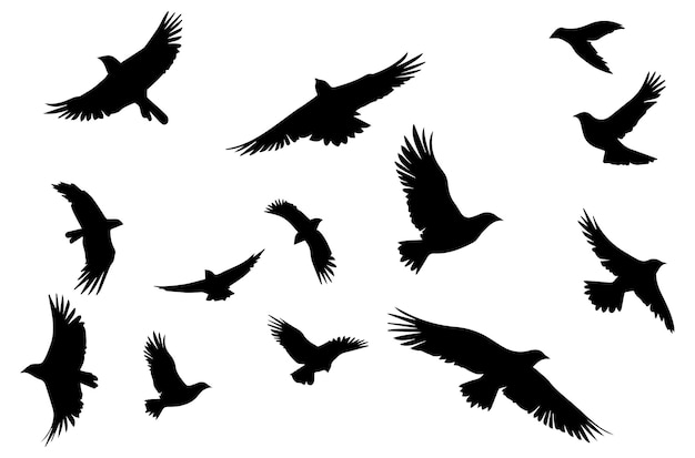 Vecteur les oiseaux volants ont des silhouettes noires.