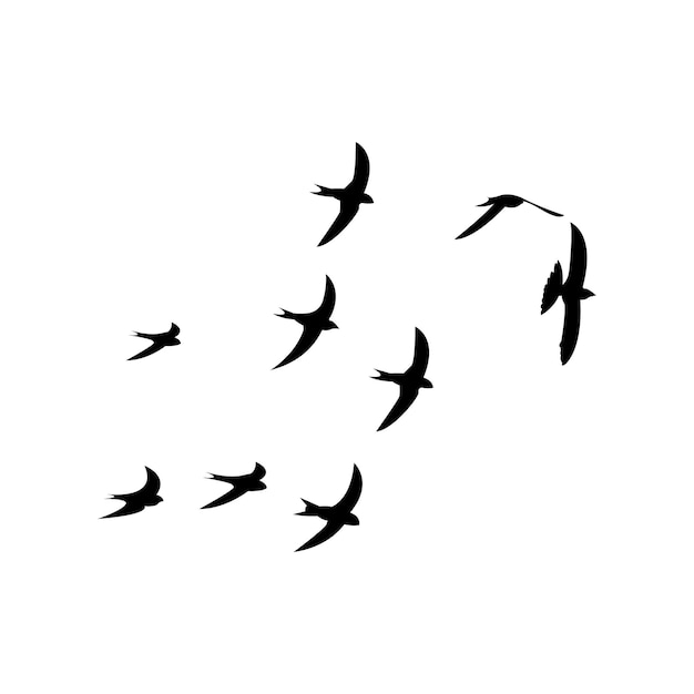 Les Oiseaux Volent Dans Le Ciel