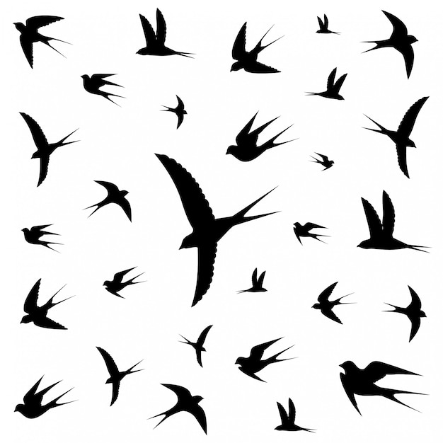 Des Oiseaux