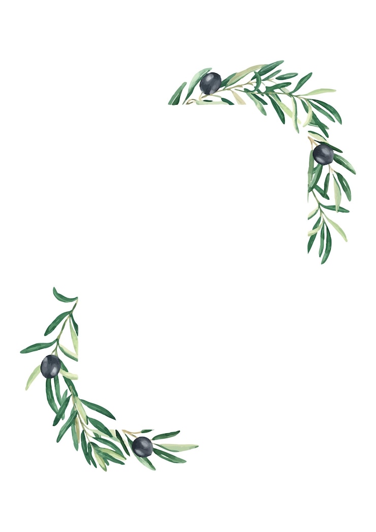 Vecteur olive square cadre vertical olives noires et branches illustration botanique à l'aquarelle dessinée à la main isolée sur fond blanc peut être utilisée pour des cartes, des logos et des conceptions cosmétiques