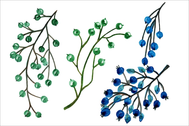 Olives à L'aquarelle, Baies Sauvages, Branches Avec Baies. Décoration De Cartes De Mariage. Art Des Baies Sauvages.