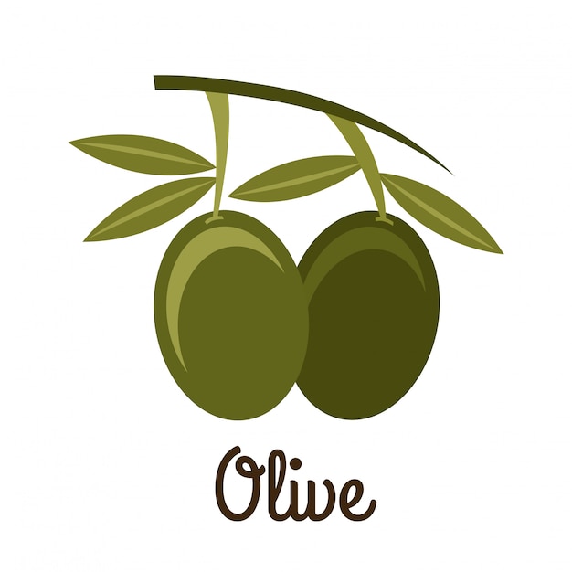 Olives Design Sur Illustration Vectorielle Fond Blanc