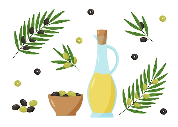 Olives huile d'olive et branches avec feuilles et baies Illustration vectorielle d'un ensemble d'olives