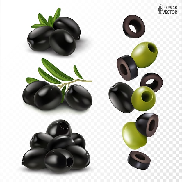 Vecteur olives noires sur un ensemble de branches olives piquées piquées morceaux tombants illustration alimentaire réaliste vectorielle