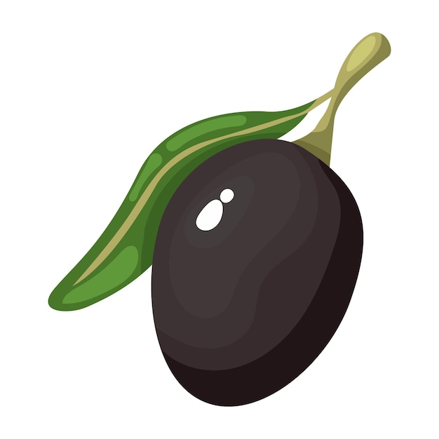Olives noires avec illustration vectorielle de feuilles