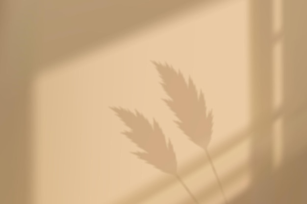 L'ombre de l'herbe de Pampas sur le mur beige avec la lumière du soleil de la fenêtre