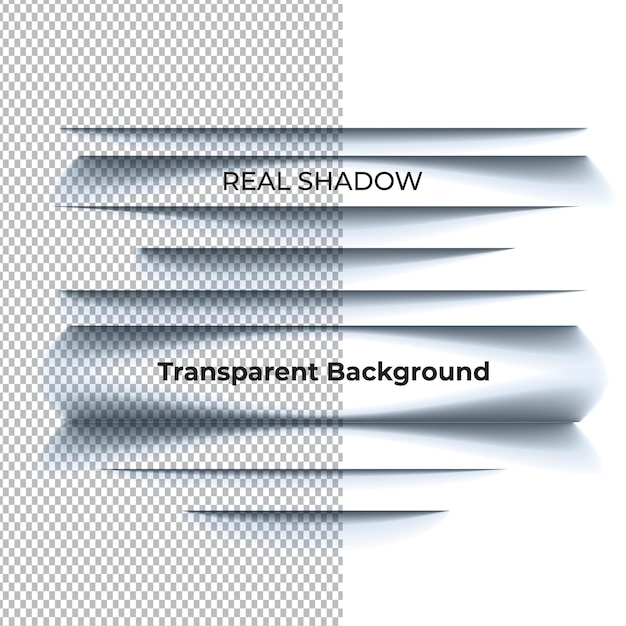 Vecteur ombre réaliste avec fond transparent