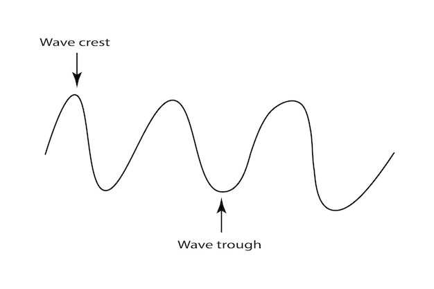 Vecteur ondes des propriétés de base parties d'illustration vectorielle d'une onde parties d'une onde transversale