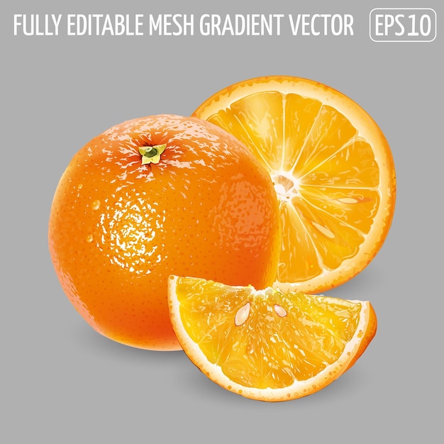 Vecteur orange entière avec des tranches sur un fond gris