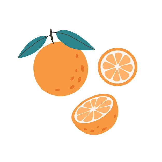 Orange Fraîche. Fruits Exotiques Et Tropicaux. Nourriture Saine. Illustration Vectorielle