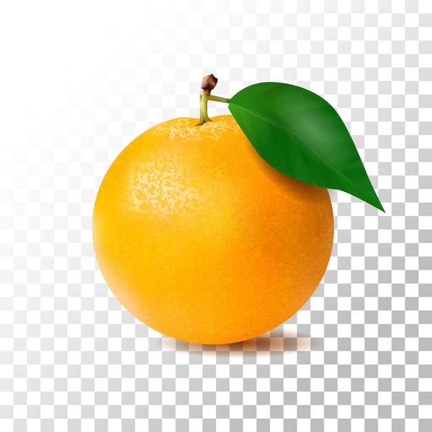 Vecteur orange